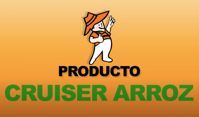 cruicer-arroz-700x410-1
